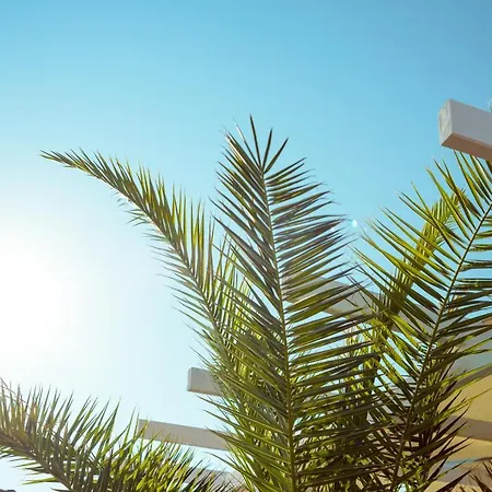 Grande Mia Casa Apartment