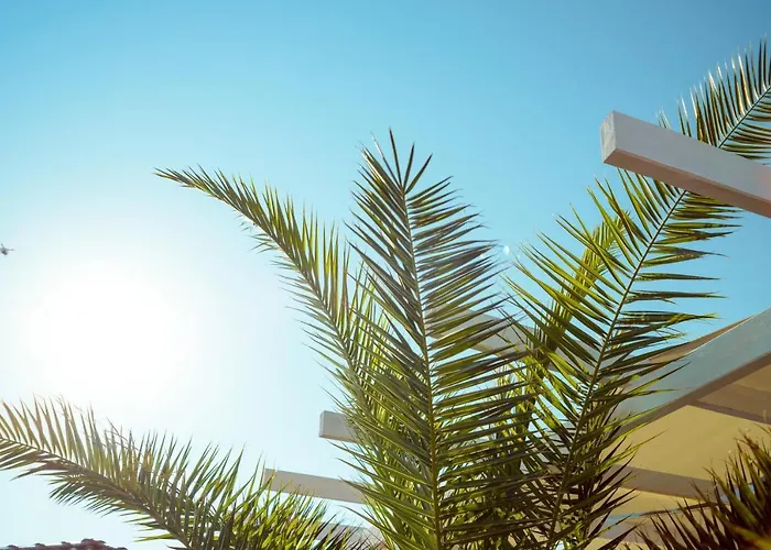 Grande Mia Casa Apartment